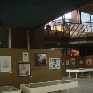Zene-umetnicki-stvaraoci-2013-01