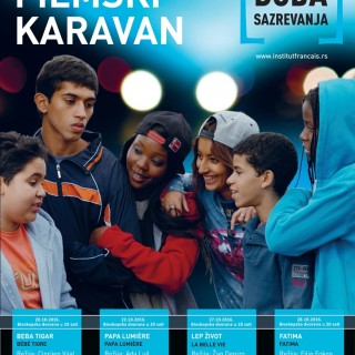 Doba sazrevanja-Plakat