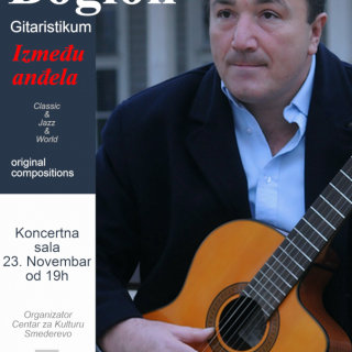 Bogion-Gitaristikum_plakat