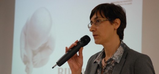 Sofija-Stefanovic-600x398