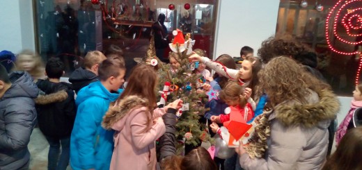 Kicenje-21-12-2016_08