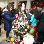 Kicenje-22-12-2016_01