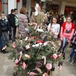 Kicenje-22-12-2016_02