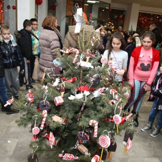 Kicenje-22-12-2016_02