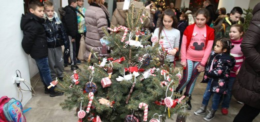 Kicenje-22-12-2016_02