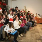 Koncert-OS-Heroj-Srba_28-12-2016_10