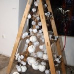 Neobicne-jelke_26-01-2016_20