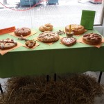 Moso-Odalovic-i-cesnice_06-01-2017_05