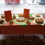 Moso-Odalovic-i-cesnice_06-01-2017_06