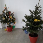 Moso-Odalovic-i-cesnice_06-01-2017_08