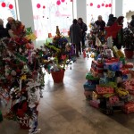 Moso-Odalovic-i-cesnice_06-01-2017_10