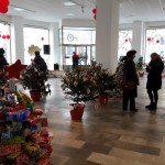 Moso-Odalovic-i-cesnice_06-01-2017_12