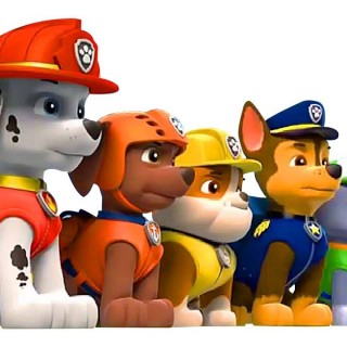 15676306_1419896898023063_5025429011953127517_o