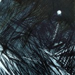 NIKOLA RADOSAVLJEVIĆ-TOPLI DODIRI I, 2016.  33X25cm, suva igla