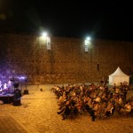 Koncert Ljuba Ninkovic_14