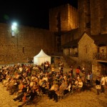 Koncert Ljuba Ninkovic_15