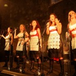 Koncert vrelo_12