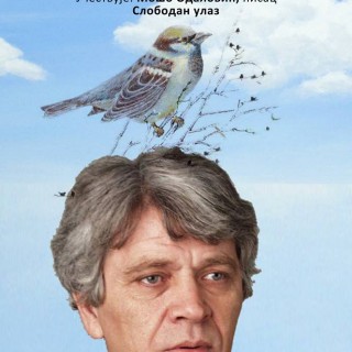 24775153_752671134925248_6737703928937153252_n