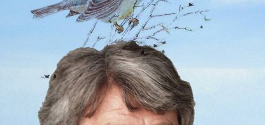 24775153_752671134925248_6737703928937153252_n