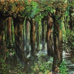 24993278_754034871455541_4262905198265822432_n