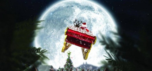 25075119_755177131341315_7681147162649145542_o