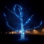 25498478_10215075609345078_3043549936046408725_n