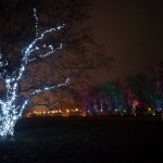 25791190_10215085213465175_1399600047859624222_o