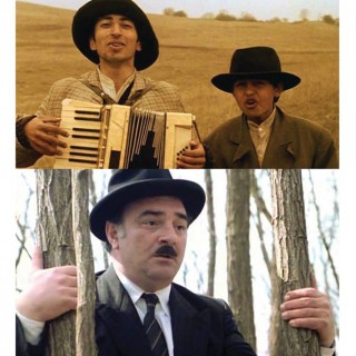 26731063_770110006514694_1081407411613599688_n