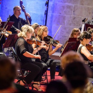 11760092_1004159119636966_5659985312115112192_n