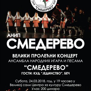 plakat za Prolecni koncert ANIP 2018