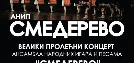 plakat za Prolecni koncert ANIP 2018