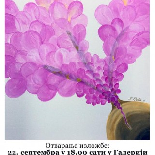 42168863_930111290514564_2607318261347385344_n