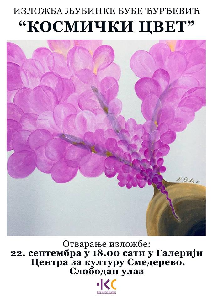 42168863_930111290514564_2607318261347385344_n