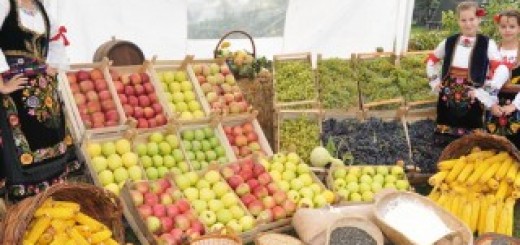 ПОЉОПРИВРЕДНА ИЗЛОЖБА СЕОСКА ДВОРИШТА