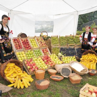 ПОЉОПРИВРЕДНА ИЗЛОЖБА СЕОСКА ДВОРИШТА