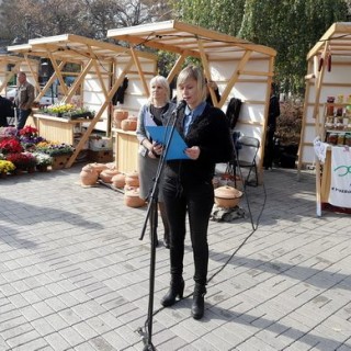 44444031_1641338362637666_699591352941281280_n