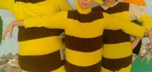 FB_IMG_1443169892407-1