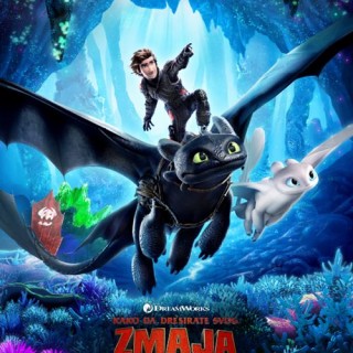 14.12.2018_15_29_31_how_to_train_dragon (1)