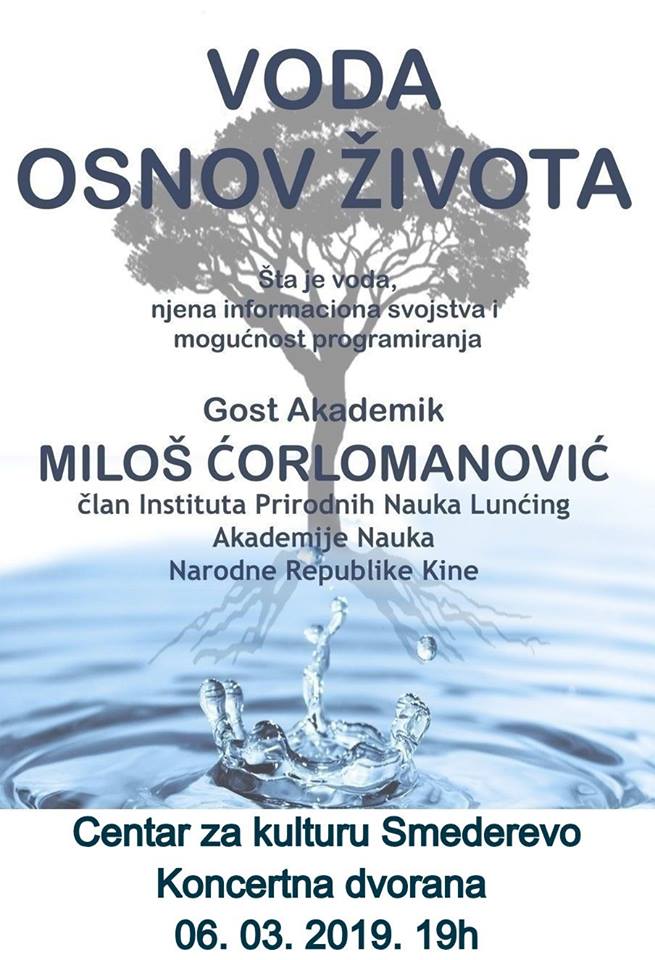 53076418_1021327968059562_4282208769229717504_n