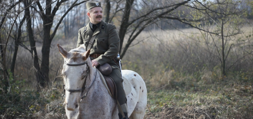 kad-narandza-u-slance-dodje-ftg-7