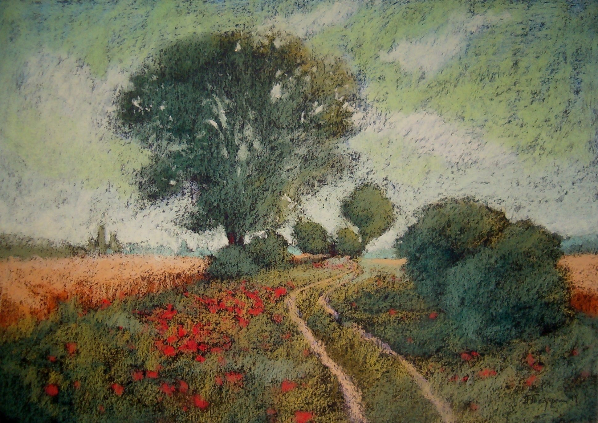 53013972_2442226509181375_557030792702722048_n