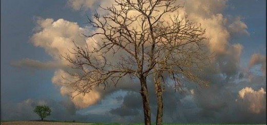 58769330_1054352108090481_1222130178117861376_n