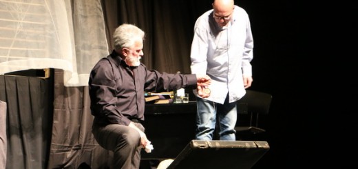 Predstava Profesionalac_25