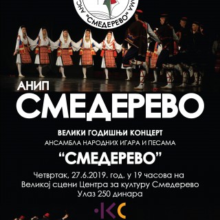 plakat-za-VELIKI-GODISNJI-2019