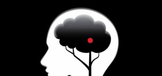 64491008_1106704639521894_3634663563693391872_n