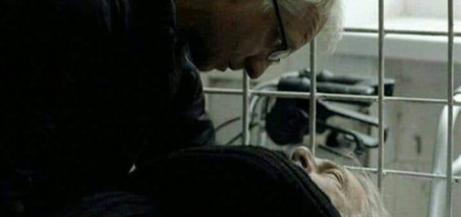 69469812_1134405206751837_5314820637783490560_n