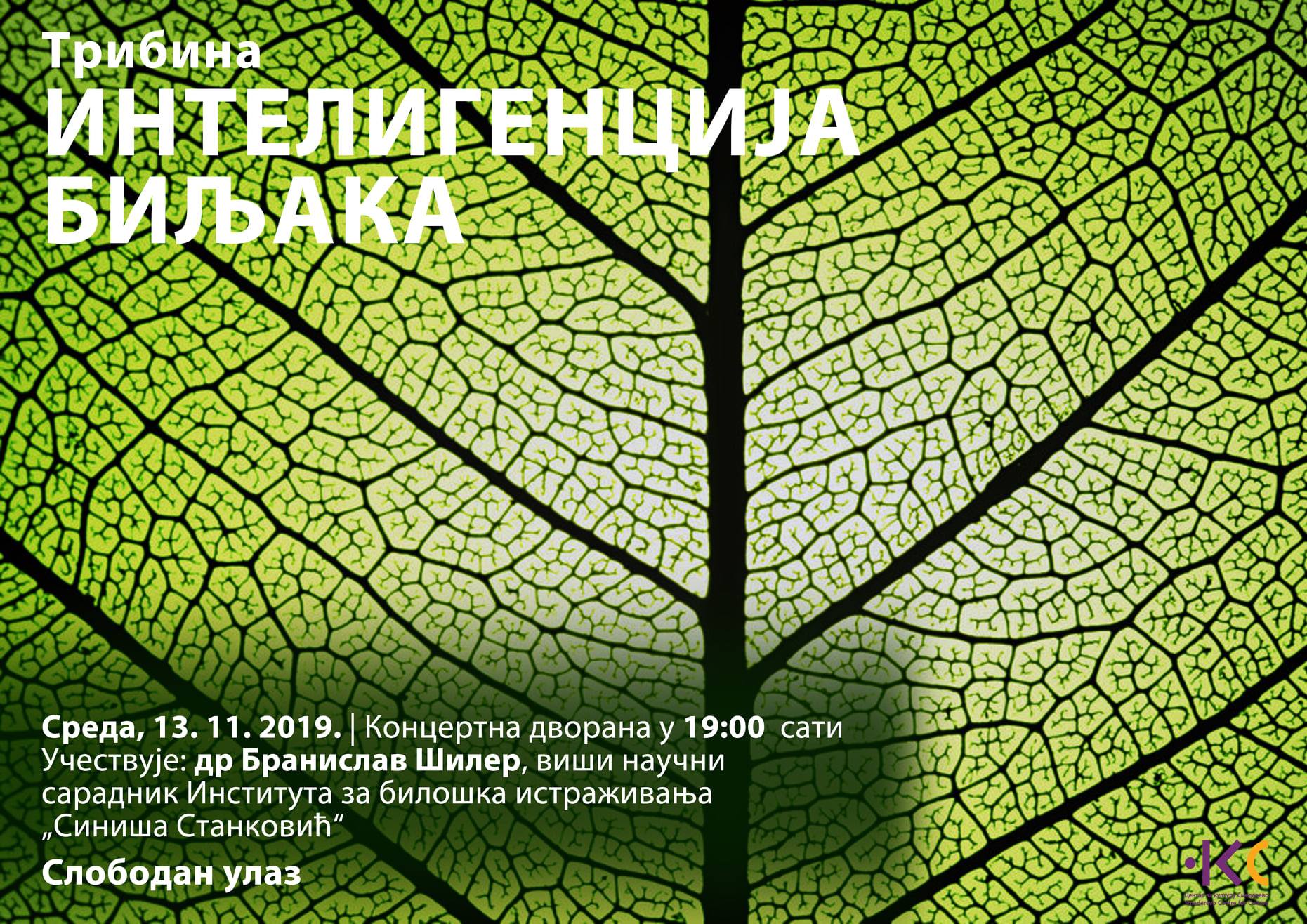 plakat za intelegenciju biljaka