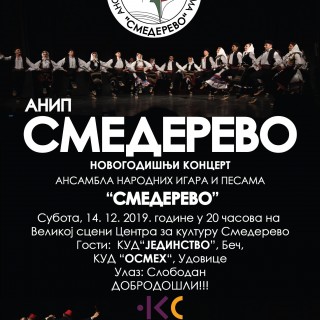 plakat-za-novogodisnji-2019