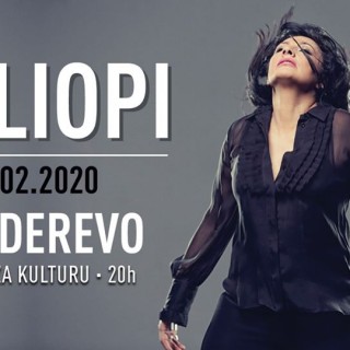 82435363_10158122180643395_2538640531693502464_o