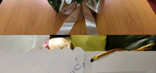 84391802_2680617475392460_7187952563872858112_n